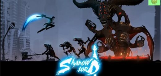 Shadow Lord Legends Knight hack