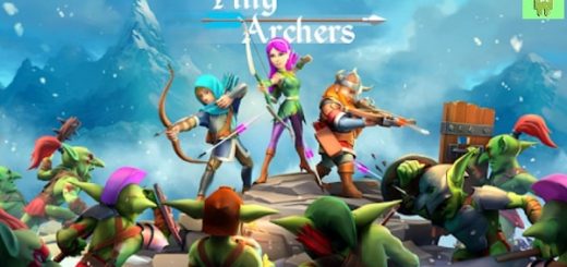Tiny Archers hacked