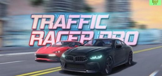 Traffic Racer Pro hack