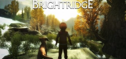 Nimian Legends Brightridge hack