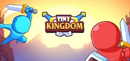 Tiny Kingdom HACK