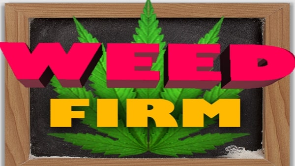 Weed Firm Replanted hack