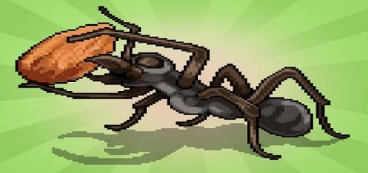 Pocket Ants