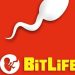 BitLife BR unlimited money